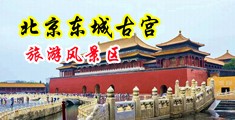 在线播放超级美女被众人轮奸到抽搐中国北京-东城古宫旅游风景区